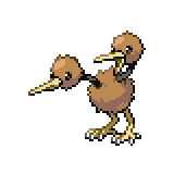 Doduo