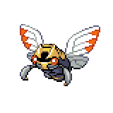 Ninjask