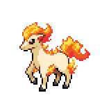 Ponyta